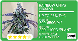 The Ultimate Guide to Cannabis Seeds Delaware The Ultimate Guide to Cannabis Seeds Delaware