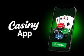 Casiny Casino Review - An In-Depth Look at Features and Games Casiny Casino Review - An In-Depth Look at Features and Games